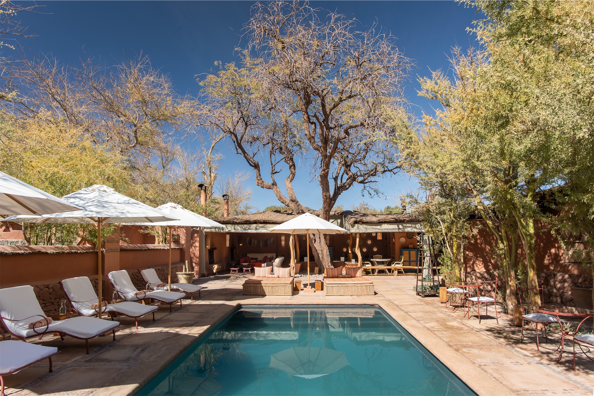 Swimming pool surrounded by loungers and trees at Awasi Atacama.