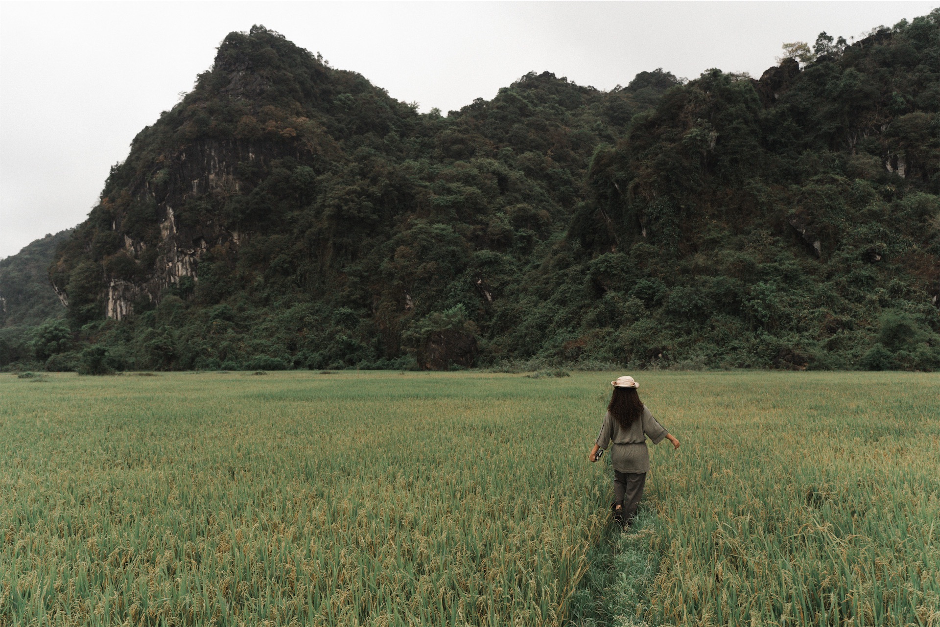 Auko Phong Nha Rice Field Experience