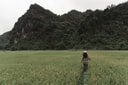 Auko Phong Nha – Rice Field Experience