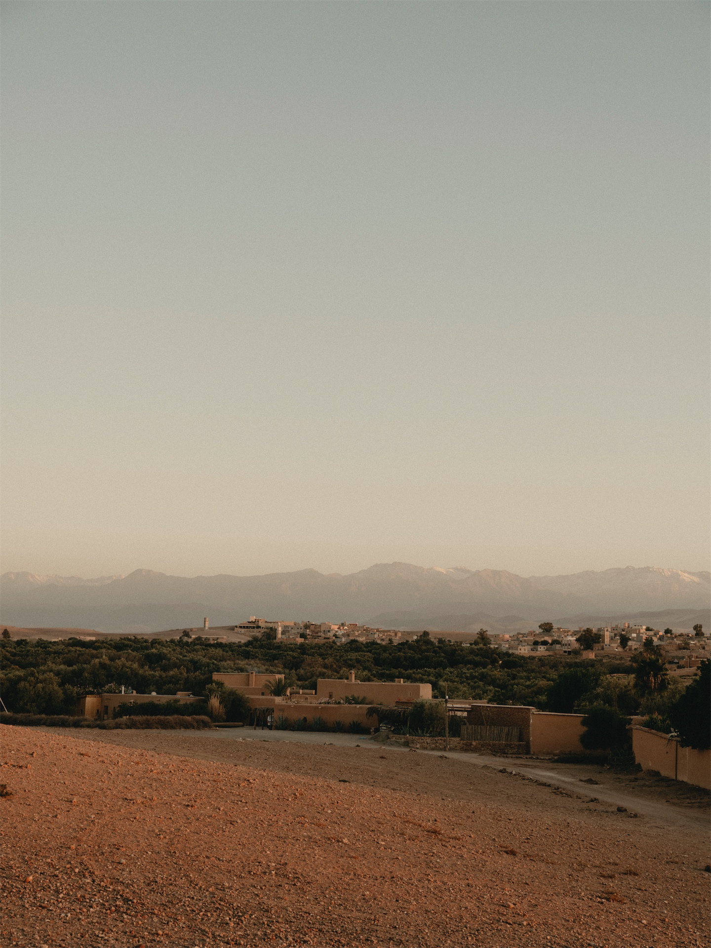 Romain Michel-Ménière, Founder
