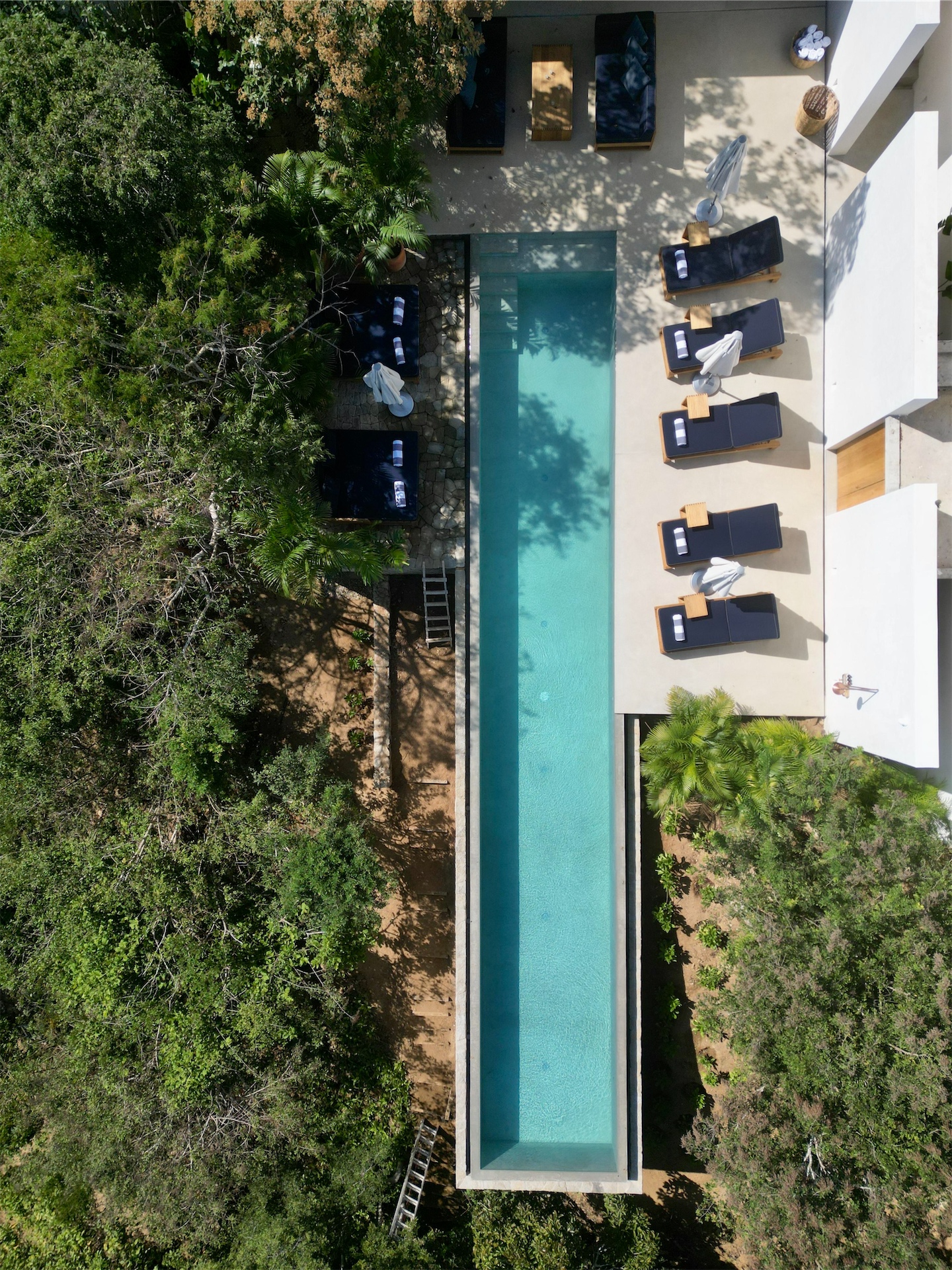 El Guayacan aerial pool forest
