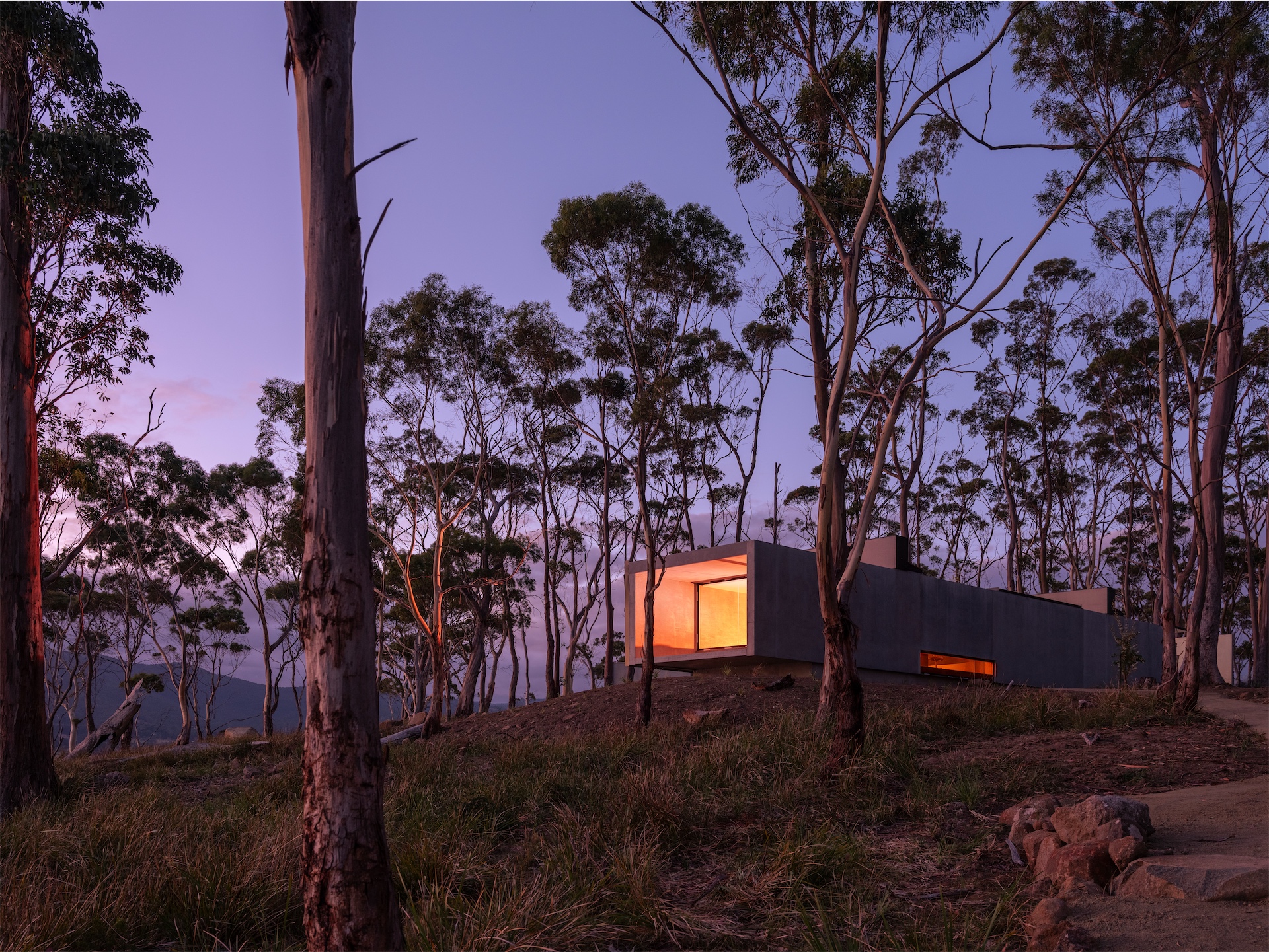 Vipp Tunnel exterior glowing at twilight among Tasmanian forest.