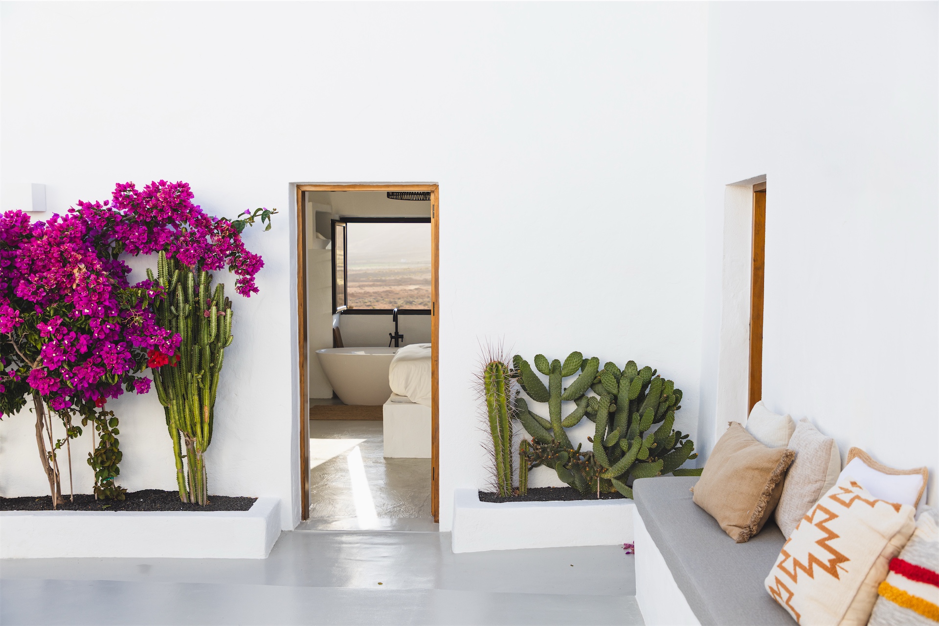 White courtyard with cactus garden and open doorway revealing interior at La Casita de Femés.