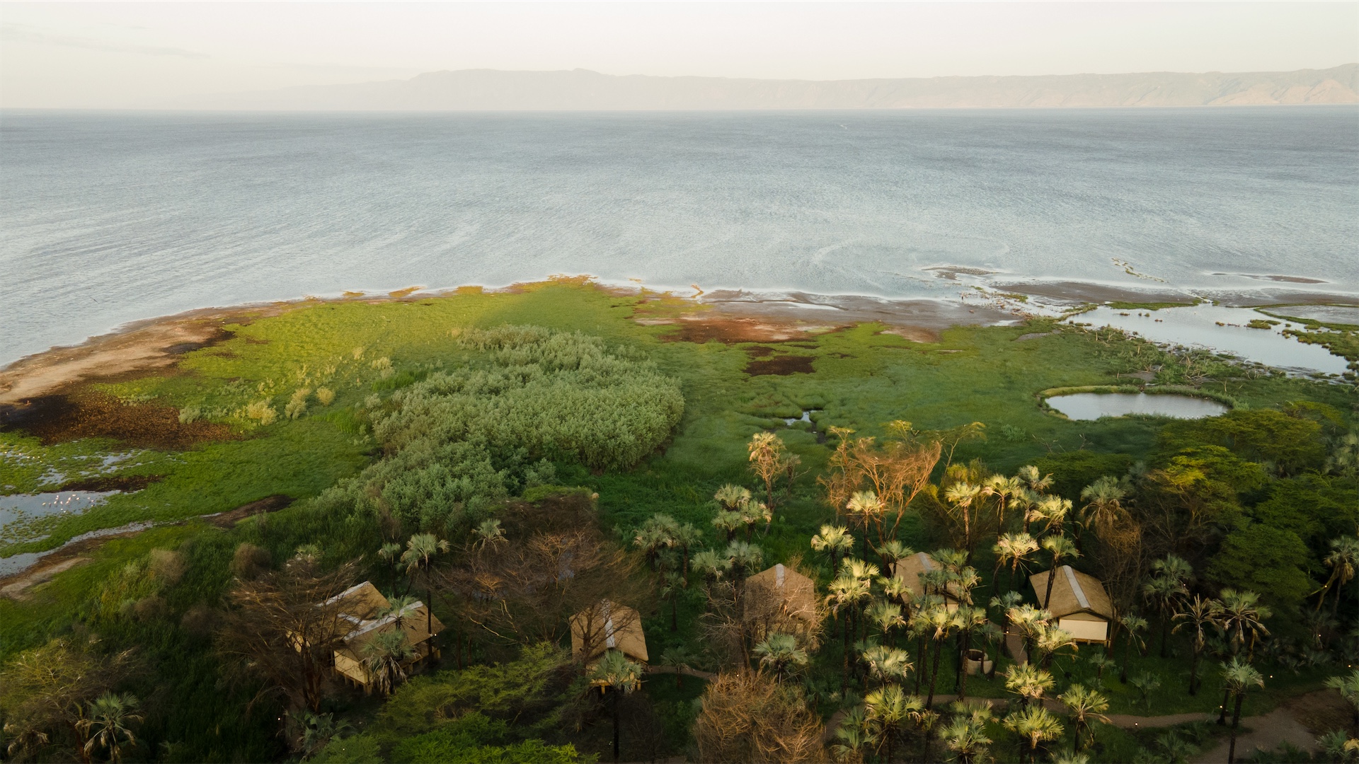 Aerial view of wetlands and shoreline of Lake Eyasi near Kisima Ngeda Camp in Tanzania.
