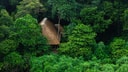 Thatched-roof cabin partially hidden within dense green forest at Koroi Forest Camp.