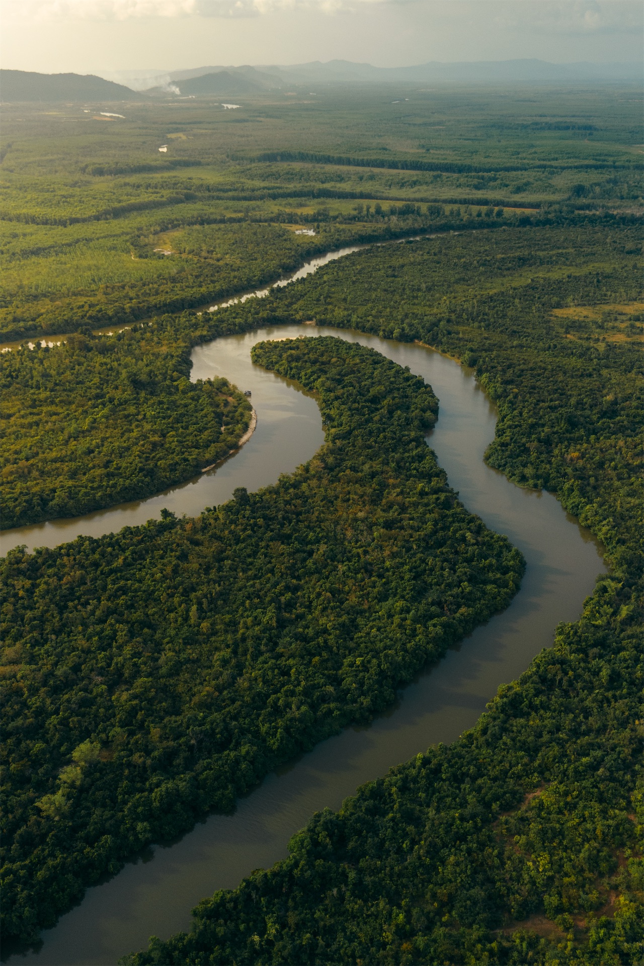 shinta mani wild cardamom rainforest aerial