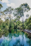 shinta mani wild jungle pool